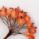 Decorative berries, orange, 7 × 6 × 7 cm, 40 berries
