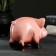 Piggy bank "Piggy" 9x10x7cm