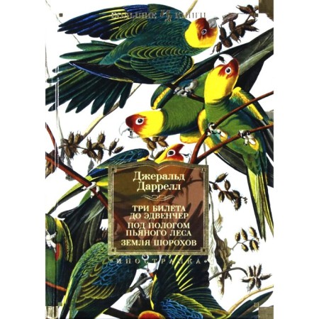 Three tickets to Edvent. Under the canopy of a drunken forest. The land of the rustle