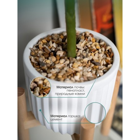 Ficus in a cement pot with a stand of MDF, 140 × 140 × 690 mm, green / white / beige color-3