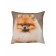 Decorative pillow "Spitz dog", size 40x40 cm