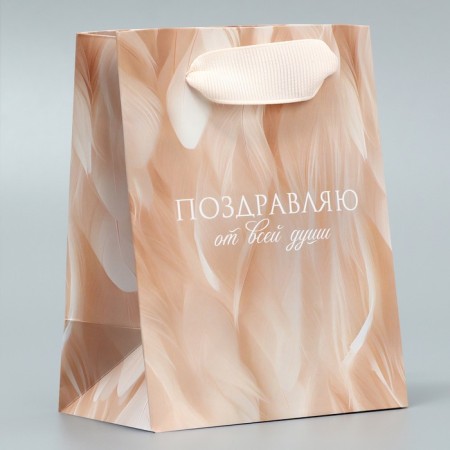 Gift Package Laminated, packaging, “Congratulations”, 9 x 12 x 6.5 cm-1