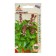 Basil seeds "cinnamon" 1g*