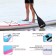 SUP Board Universal Kelpie 11 ", 335x80x15 cm