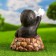 Garden figure "Mole in Mink" 30x25x25cm