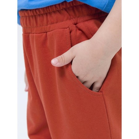 Pants for boys, height 104 cm, terracotta color-3