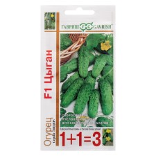 Seeds of cucumber 
