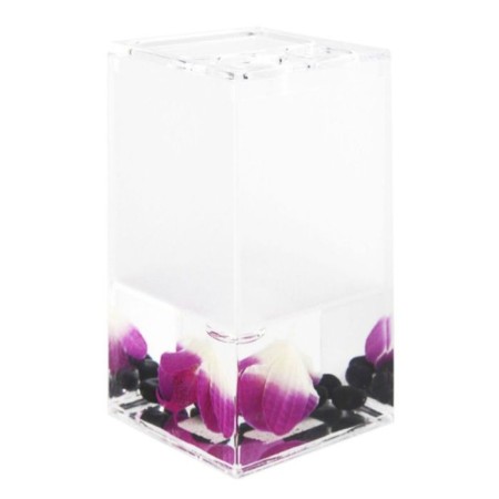 A glass for Phalaenopsis toothbrushes, with a separator