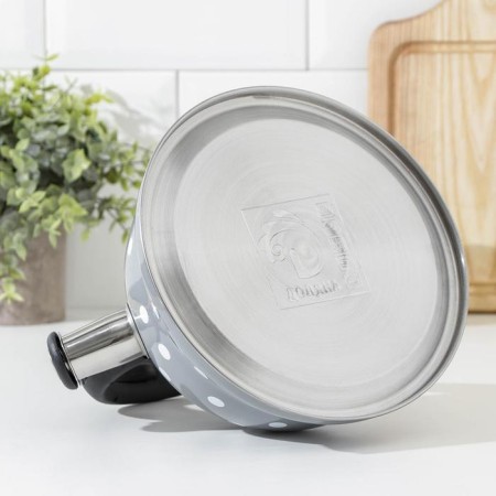 A kettle with a stainless steel whistle is a “peas” shares, 2.8 liters, the color is gray-3
