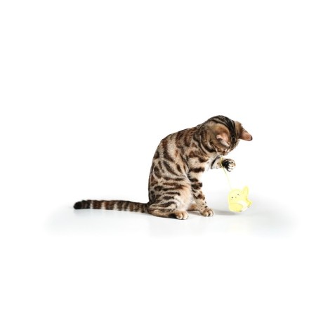 Cat tensile on mounting with a tibia "bird" with a cat's mint-3
