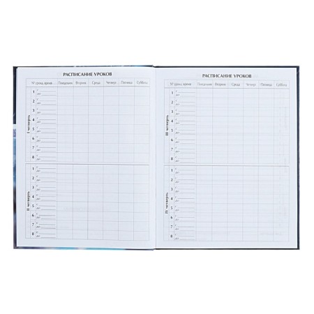 Diary for grades 1-4 "Fluffy Friends. Wolf's Wolf", solid cover, glossy lamination, 48 sheets-5