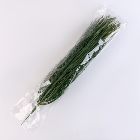 Cast a twig, green, set 1 pc.-3