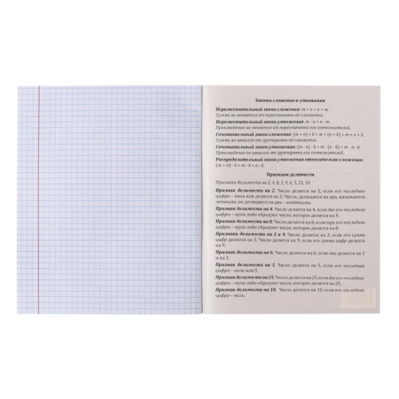 A notebook “Capybara”, 48 sheets in the “Mathematics” cage, covered cardboard, embossing flax, offset block-3