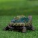 Garden figure "Turtle" 6x10x12cm mix