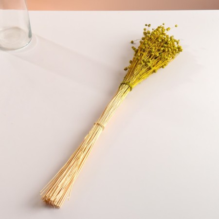 A set of dried flowers "Lenon-long", banch length 55-60 (+/- 6 cm), green-3