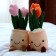 Soft toy "Tulip", Mix colors