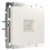 ROSET W1181013, Ethernet, RJ-45, pearly corrugated