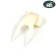 Fruit plug is small 1.6 x 3.2 cm (set 5 pcs)