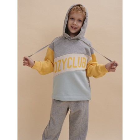 Sweatshirt for boys, height 110 cm, gray color-1