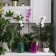 Pot for orchids, 2.5 l, 16.4 × 18.5 cm, plastic, transparent raspberry
