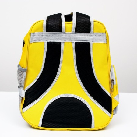 A backpack for carrying animals "cat", transparent, 34 x 25 x 40 cm, yellow-4