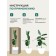 Bamboo in a cement pot, 125 × 125 × 650 mm, green / black / beige color