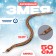 Wooden toy "Snake" 50x1.6x1.6 cm mix