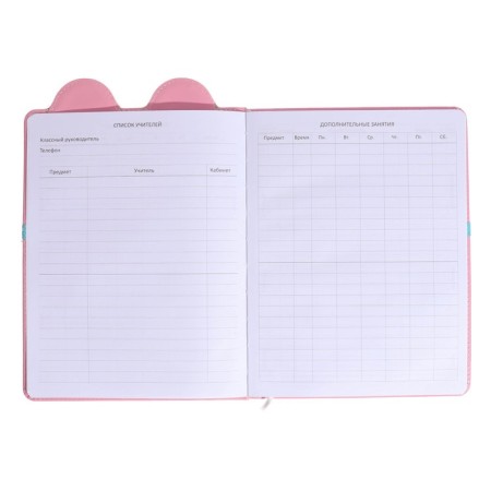 Universal diary 1-11 grade mouse, firm cover with foam rubber, with a refrain, lies, block 80 g/m2-5