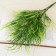 Bouquet "narrow fern" 26 cm