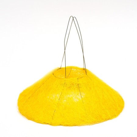 Floral yellow frame 30 cm-2