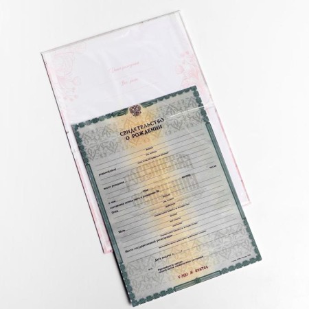 Folder for birth certificate "Flowers", A5-4