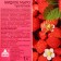 Soap liquid toilet nickname "strawberries", v. PET, 1 L