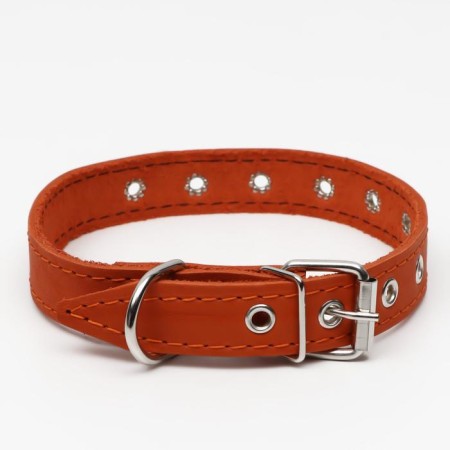 Collar leather single-layer, dimensionless, 56 x 2.5 cm, Osh 17-44 cm, orange-1