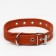 Collar leather single-layer, dimensionless, 56 x 2.5 cm, Osh 17-44 cm, orange
