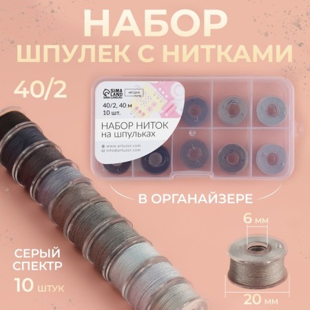 A set of rumps with threads, in the organizer, d = 20 mm, 10 pcs, color is gray spectrum