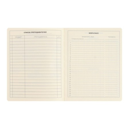 Diary Artificial leather 1-11 grade, 48 sheets, cage, hard cover, Schoolmix. Panda, rounded angles, block 70g/m²-3