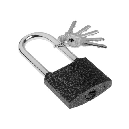The castle of the hinged "Allur" VS1CH-360D, the long handle d = 9 mm, 5 keys