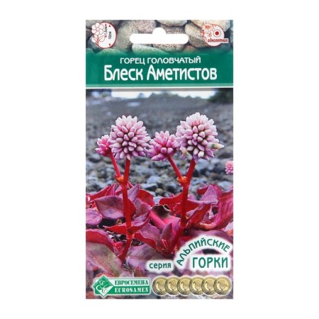 Seeds of flowers Highlander Help "Shine of Amethysts", 0.1 g