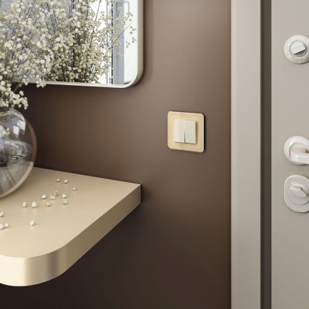Frame W0012443, 1 Elite socket, ivory, glass-1