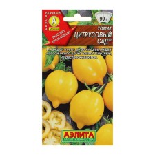 Seeds Tomat 