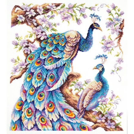 Cross embroidery "in all its glory!"-2