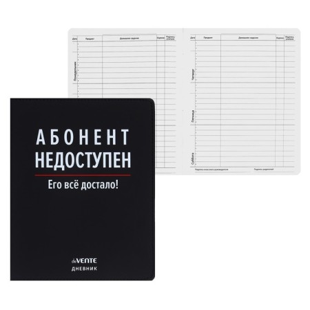 Universal diary for grade 1-11 "subscriber is not available", integral cover, artificial leather, silkography, liesse, 80 g/m2