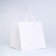 A bag with a square bottom 25 x 25 x 25 cm, white
