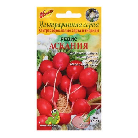 Seeds Radi "Ascania", 130 pcs