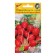 Seeds Radi "Ascania", 130 pcs
