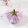 Soap petals "Bun of cloves. Lilac" 6x6x5 cm