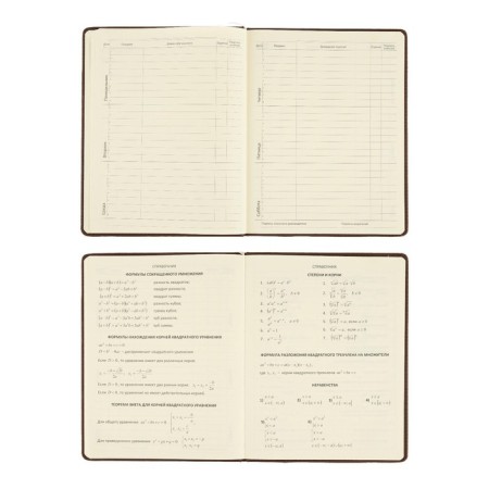 Universal diary for grade 1-11 Dark Brown, hard cover, artificial leather, foam rubber, lies, 80 g/m2-7