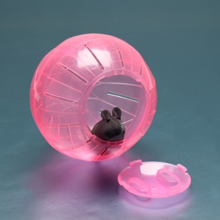 Ball for rodents "Pigger", 12 cm, pink-2