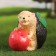 Garden figure "Hedgehog with apple" 20x20x14cm