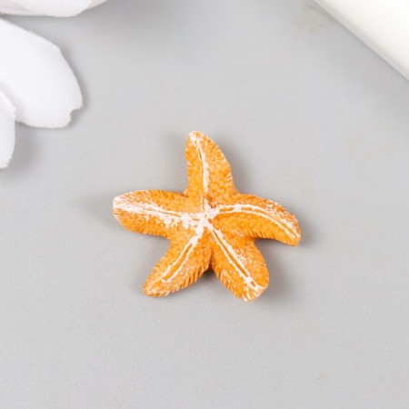 Figure for Florarium Polystone "Sea Star" mix 2.5x2.5x0.8 cm-1
